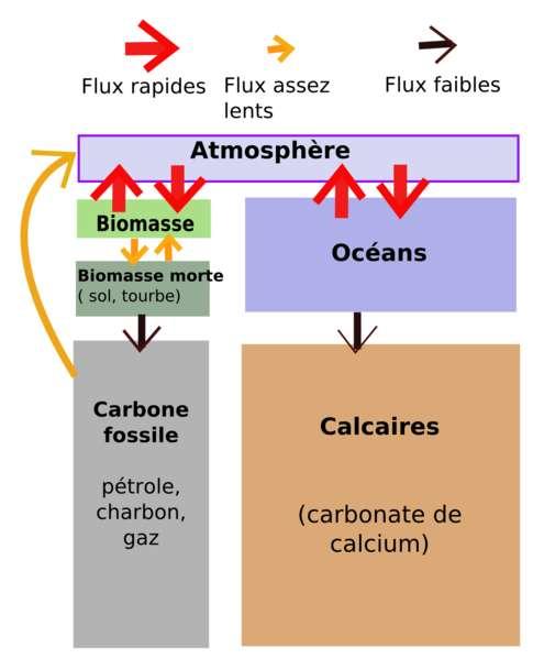 12 Le flux de carbone dans l atmosphere