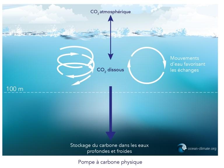 14 Fonctionnement de la pompe a carbone physique