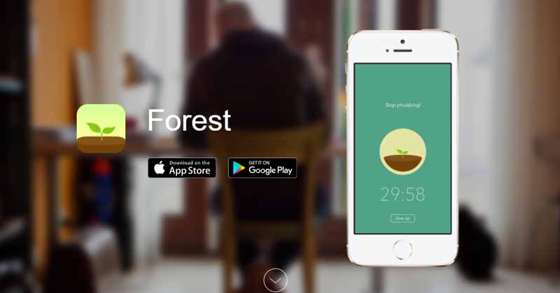 49 Forest App