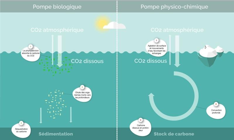 6 Importance de la cryosphere et des oceans