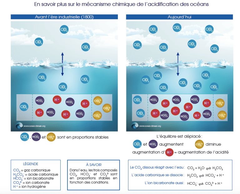 9 Acidification de l ocean