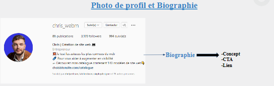 17 Photo de profil et biographie Instagram