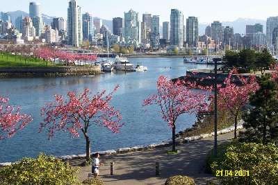 Panorama urbain côtier longeant Stanley Park à Vancouver