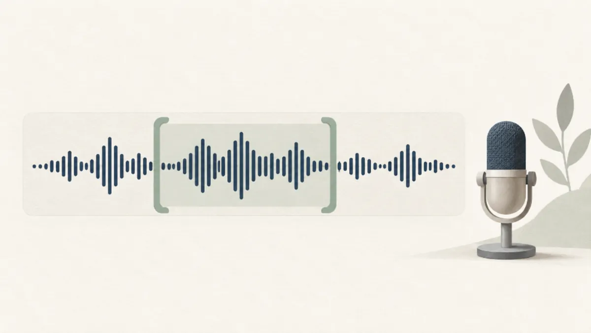 Preserving the source context of a customer testimonial during editing