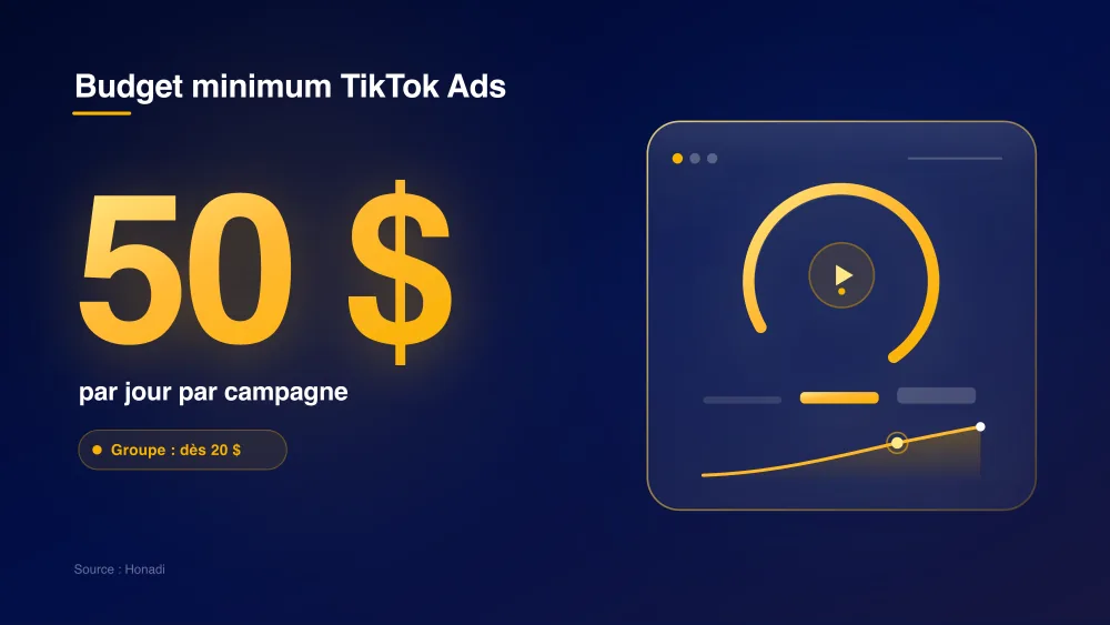 infographie 1 budget minimum quotidien Budget minimum TikTok Ads : 50 $ par jour au niveau campagne