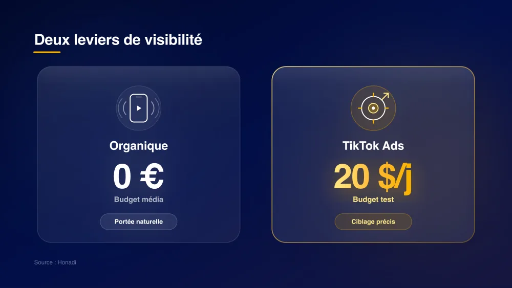 Deux leviers TikTok pour PME : Contenu Organique vs Publicité TikTok Ads