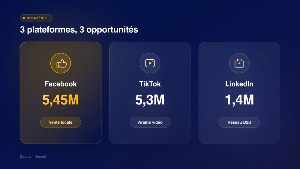 Comparatif des 3 plateformes dominantes au Cameroun : Facebook, TikTok, LinkedIn