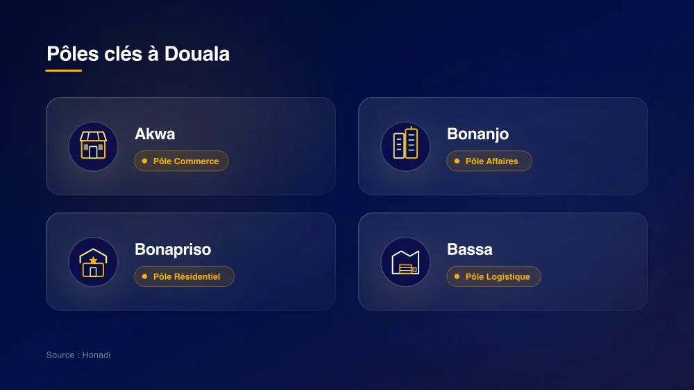 infographie 4 poles activite douala Pôles économiques clés à Douala : Akwa, Bonanjo, Bonapriso et Bassa